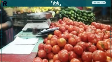 أسعار الخضار والفاكهة في المجمعات الاستهلاكية الأربعاء 12-11-2025